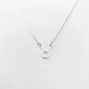 Colar Signo Touro 40cm - Prata 925
