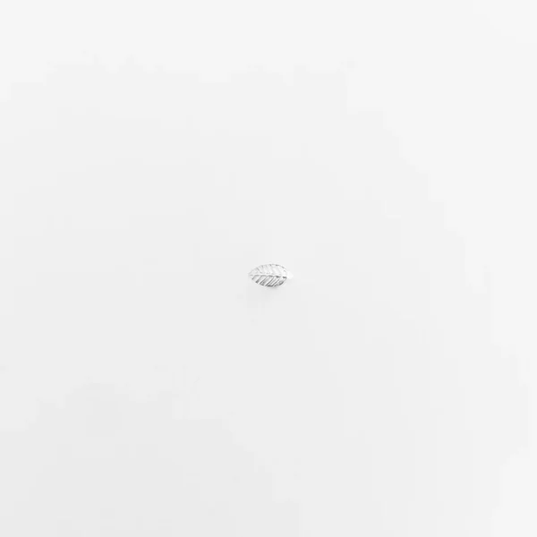 Piercing para Furo de Folhinha - Prata 925 - Imagem 2