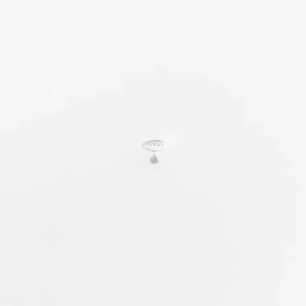 Piercing para Furo de Folhinha - Prata 925