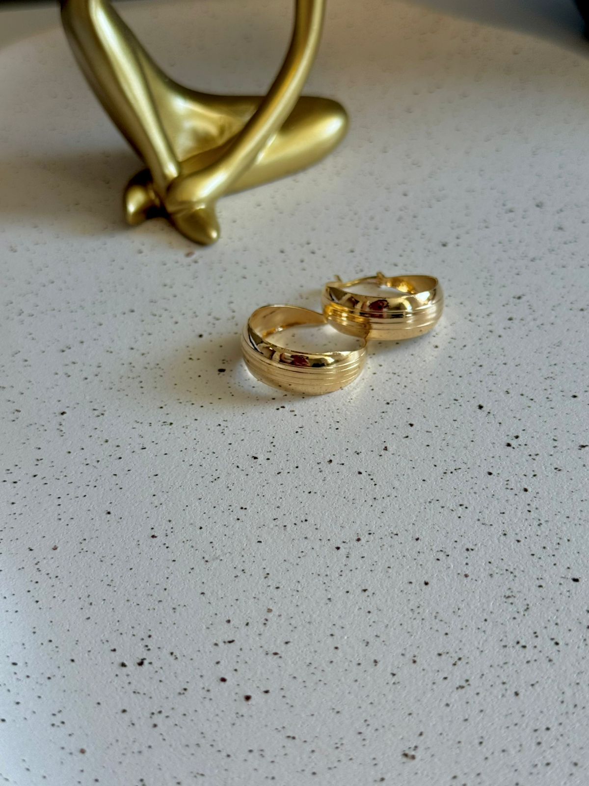 Brinco Argola e Detalhes de Riscos Delicados